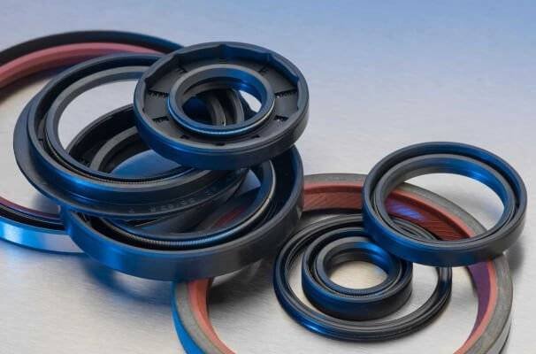 Oil Seals